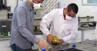 Dois homens de máscara e jaleco manipulam tecido amarelo sobre bancada de laboratório