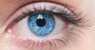 Close de um olho humano azul, com cílios e sobrancelha em destaque