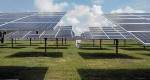 Mercado de energia solar cresce