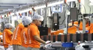 Funcionários de uniforme laranja e touca trabalham em linha de montagem de fábrica