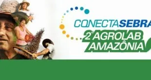 Arte de divulgação com o texto "Conecta" e espigas douradas sobre faixa verde