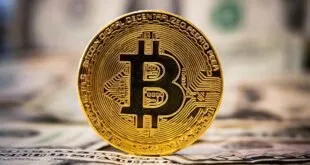 Diversificar também é importante no mercado de criptomoedas