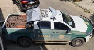 Caminhonete com a identificação do Ibama estacionada em área aberta e ensolarada