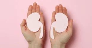 Mãos segurando dois recortes de papel em forma de rim sobre fundo rosa