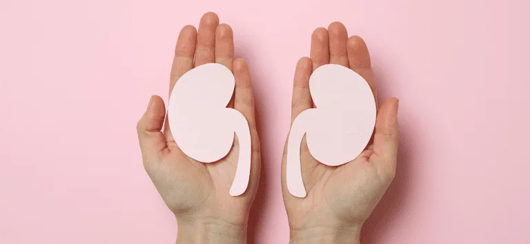 Mãos segurando dois recortes de papel em forma de rim sobre fundo rosa