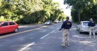 Agente da PRF de costas observando o trânsito na margem de rodovia arborizada