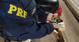 Agente com colete escrito PRF abre pacote apreendido em acostamento de estrada