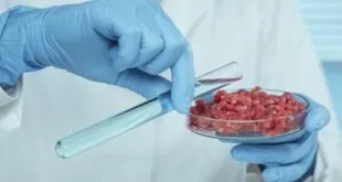 Mão com luva azul segura pinça sobre placa com amostra de carne crua