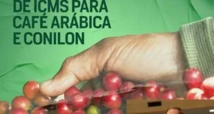 Cartão com o texto 'Igualdade de ICMS para café arábica e conilon' sobre mão cheia de grãos