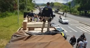 Agentes da PRF vistoriam caixas de papelão sobre carroceria de caminhão na beira da via