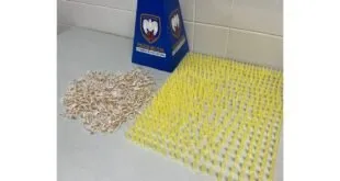 Pinos amarelos e pedras claras espalhados no piso ao lado de uma mochila azul