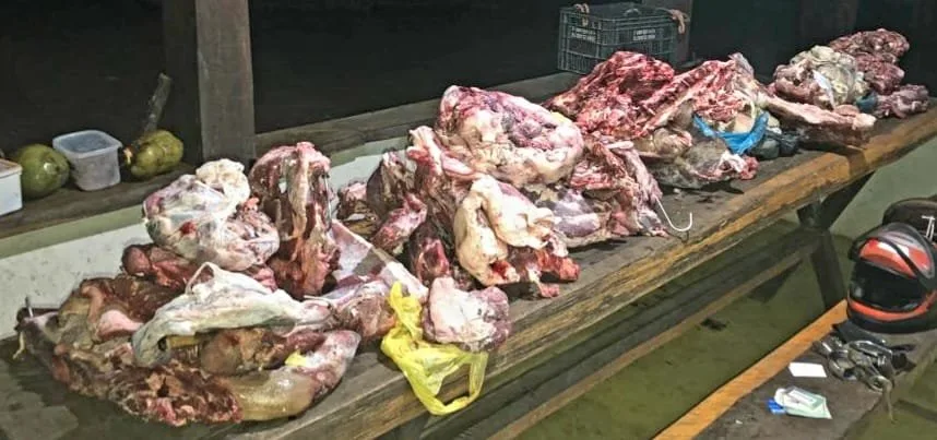 Pedaços de carne bovina crua espalhados sobre bancada escura