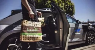 Pessoa segura sacolas de compras ao lado da porta aberta de um carro na rua