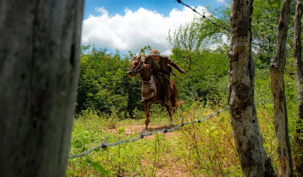 Vaqueiro de chapéu de couro cavalga cavalo marrom em trilha de mata vista atrás de cerca de arame