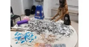 Cão policial atrás de mesa com tabletes de droga, cédulas e material apreendido