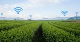 Uso da Internet avança em áreas rurais