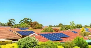 Placas solares instaladas em telhados de casas em bairro arborizado sob céu azul