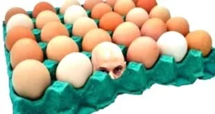 Negou Mudança no PMB: Moraes