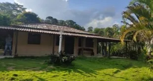 Casa simples de telhado de telhas e varanda cercada por gramado e vegetação