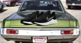 Nike: como uma empresa de garagem