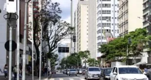 Avenida urbana com carros em movimento entre prédios altos e árvores floridas
