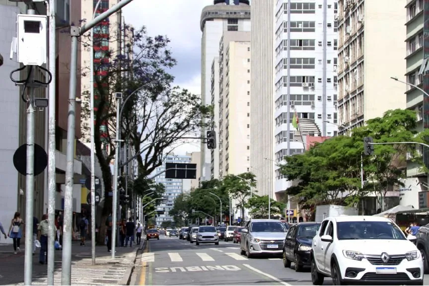 Avenida urbana com carros em movimento entre prédios altos e árvores floridas