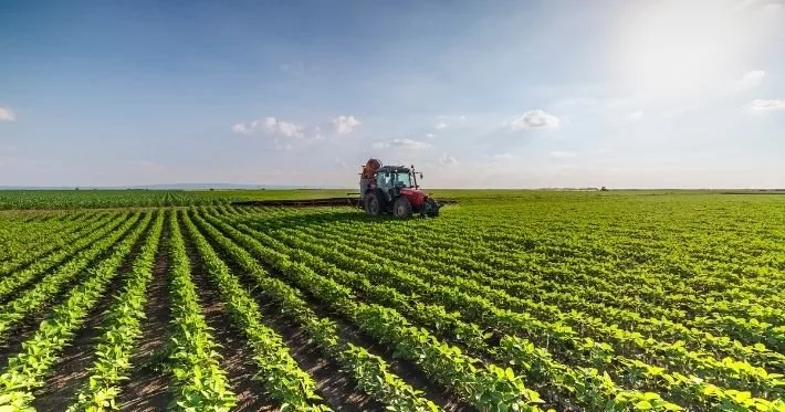 Trator vermelho pulverizando lavoura verde em linhas retas sob céu azul
