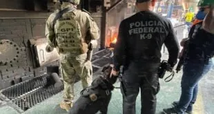 Agentes com coletes da Polícia Federal e cão farejador inspecionam fardos empilhados