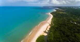 Vista aérea de praia com faixa de areia clara, mar esverdeado e mata ao redor