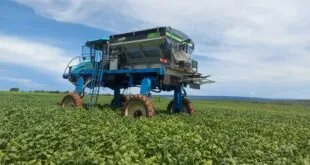 Pulverizador agrícola azul em lavoura de soja sob céu com nuvens