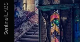 Escadaria de prédio abandonado com paredes cobertas de grafite