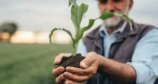 Crédito rural chega perto de R$ 175 bi