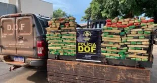 Operação Hórus: ação federal