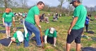 Voluntários de camiseta verde plantando mudas com enxada em terreno gramado