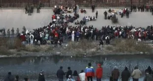 brasileiros pedindo asilo nos Estados Unidos