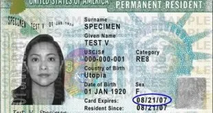 Green Card: Advogado esclarece