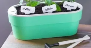 Jardineira verde com mudas de temperos e etiquetas escritas, ao lado de pequenas ferramentas de jardim