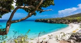 Praia de areia branca e mar azul-turquesa vista entre galhos de árvore, com falésia verde ao fundo