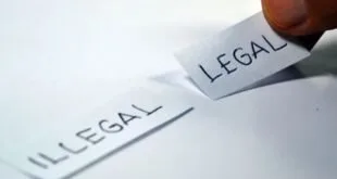 Direitos autorais: saiba o que fazer