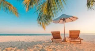 Guarda-sol e espreguiçadeiras em praia deserta sob coqueiro ao pôr do sol