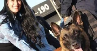 Projeto de lei institui 15 de junho como o Dia do Cão Policial