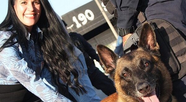 Projeto de lei institui 15 de junho como o Dia do Cão Policial