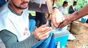 Médicos Sem Fronteiras inicia ações contra avanço da malária no território Yanomami