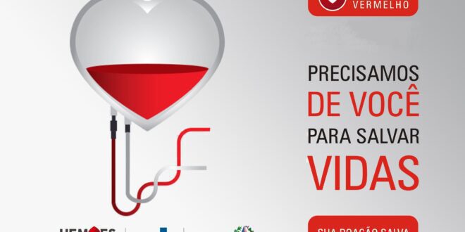 No ES, mais de 70 mil doações de sangue foram realizadas em 2022