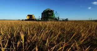 Valor Bruto da Produção Agropecuária
