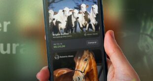 App de anúncios gratuitos inova a comercialização de equinos e bovinos no Brasil