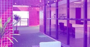 Start Growth investe e ajuda startups a potencializarem performance: confira cases de sucesso