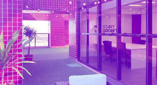 Start Growth investe e ajuda startups a potencializarem performance: confira cases de sucesso
