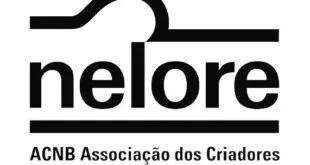 ES: 'O sentimento é de indignação', afirma ACNB após questão do Enem sobre o Agro