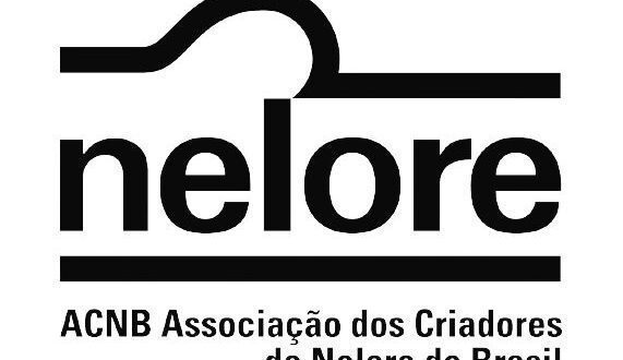 ES: 'O sentimento é de indignação', afirma ACNB após questão do Enem sobre o Agro